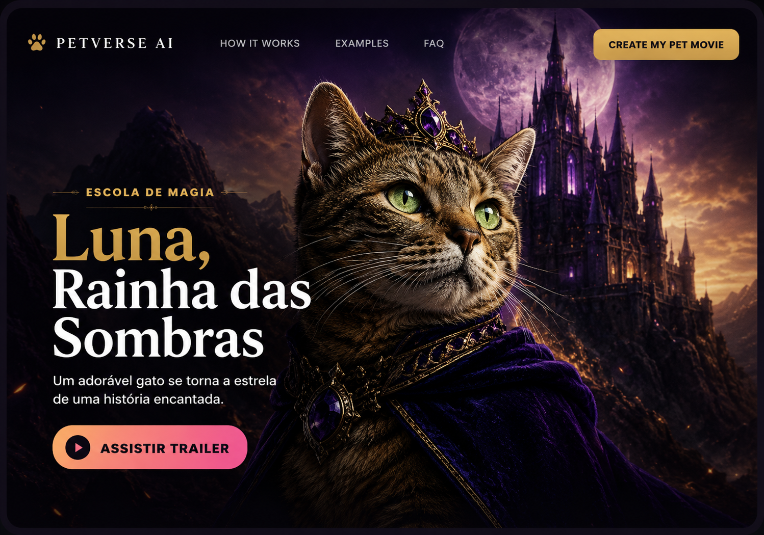 Gato depois